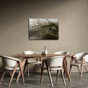 Obraz - Zbliżenie na stare oko słonia (70x50 cm)