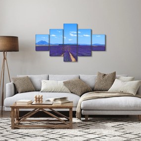 Obraz - Pole lawendy (125x70 cm)