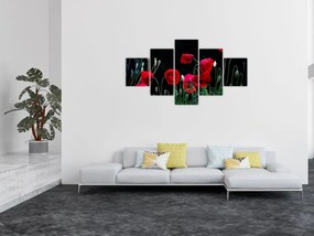 Obraz - Taniec maków (125x70 cm)