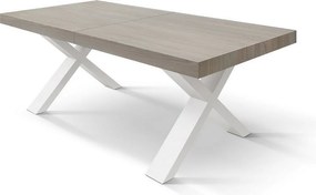 Stół drewniany wiąz perłowy, białe nogi X, 160x90-240x90cm przedłużenie - AMALFI