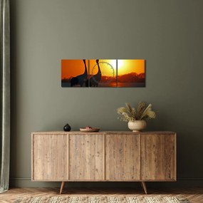 Obraz ptaków o zachodzie słońca (z zegarem) (90x30 cm)