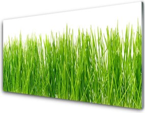 Panel Szklany do Kuchni Naturalny Dywan Zieleni