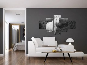 Obraz białego konia na łące, czarno - biały (125x70 cm)
