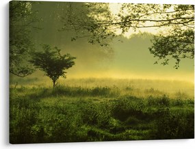 Obraz - Budzący się las (70x50 cm)