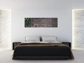 Obraz - Bluszcz (170x50 cm)