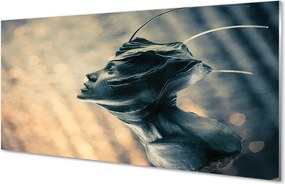 Szklany Panel Zarys Głowy Postaci