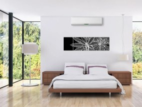 Obraz - Liście z kroplami (170x50 cm)