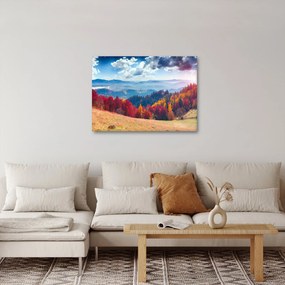Obraz kolorowego jesiennego krajobrazu (70x50 cm)