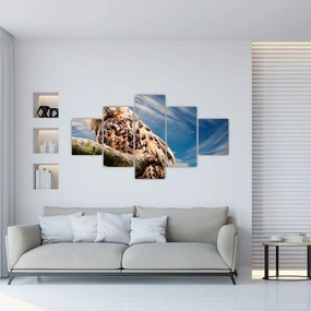 Obraz sowy (125x70 cm)