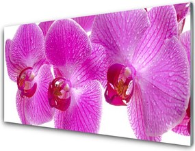 Dekor Szklany do Kuchni Świeżość Wiosennych Kwiatów