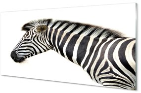 Szklany Panel Zebra