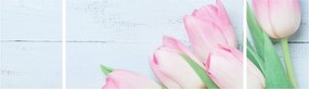 Zdjęcie - Bukiet tulipanów (170x50 cm)