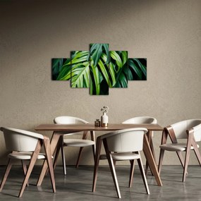 Obraz - Tropikalne liście (125x70 cm)