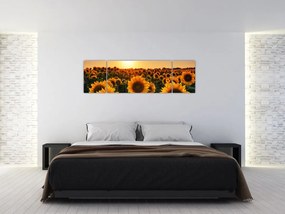 Obraz - Słonecznik (170x50 cm)