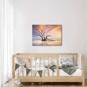 Obraz drzewa w oceanie (70x50 cm)