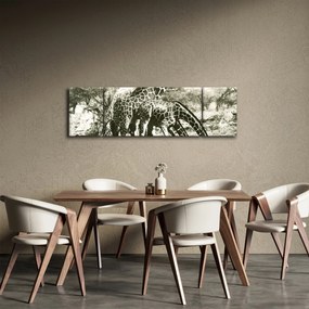Obraz - Żyrafy, vintage (170x50 cm)