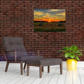 Obraz na szkle - Wiejskie bale (70x50 cm)