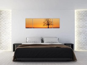 Obraz zachodu słońca na łące (170x50 cm)