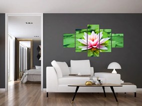 Obraz lilii wodnej na powierzchni (125x70 cm)