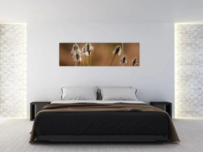 Obraz - Trawa (170x50 cm)
