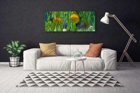 Obraz canvas Podwodny Świat Oceanu