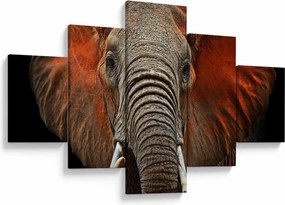Obraz - Słonie z Tsavo (125x70 cm)