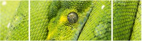 Obraz węża (170x50 cm)