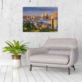 Obraz - Panorama Rotterdamu, Holandia (70x50 cm)