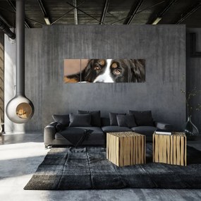 Obraz psa (170x50 cm)