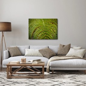Obraz - Paproć (70x50 cm)