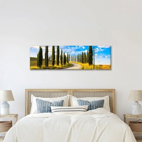 Obraz - Krajobraz (170x50 cm)