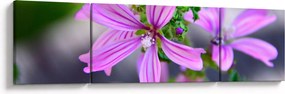 Zbliżenie kwiatu (170x50 cm)