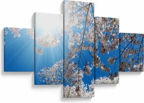 Obraz - Wiśniowe kwiaty (125x70 cm)
