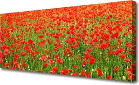 Obraz canvas Krwistoczerwone Maki
