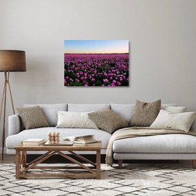 Obraz na szkle - Łąka fioletowych tulipanów (70x50 cm)