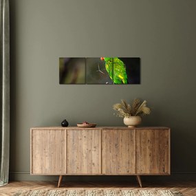 Obraz papugi na gałęzi (z zegarem) (90x30 cm)