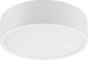 Lampa sufitowa NATURAL 1xE27/15W/230V śr. 27,5 cm sosna/biały