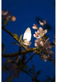 Łańcuch świetlny Szyszka, 20 żarówek LED Filament,przezroczysty kabel, przedłużenie