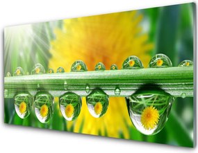 Panel nad blat kuchenny Poranny Detal Roślinny