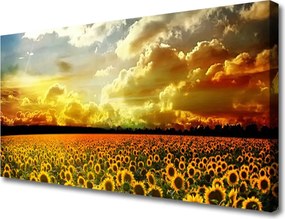 Obraz canvas Kompozycja Polerowanych Kamieni