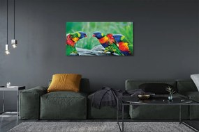 Obraz na płótnie Kolorowe Papugi na Drzewie