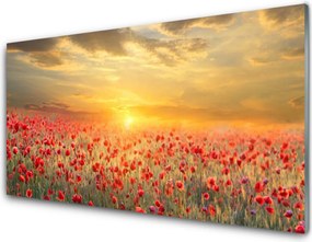 Panel Szklany Maki W Południowym Słońcu