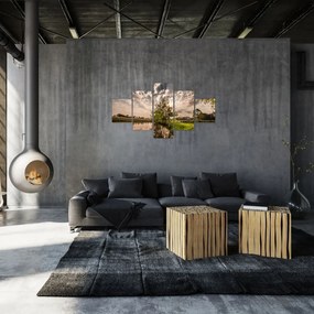 Obraz natury z promieniami (125x70 cm)