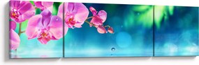 Obraz - Orchidea (170x50 cm)