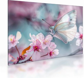 Obraz na szkle - Motyl na drzewie wiśni (70x50 cm)