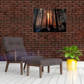 Obraz ciemnego lasu (70x50 cm)