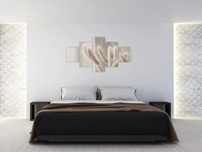 Obraz - Zajęcze ogonki (125x70 cm)