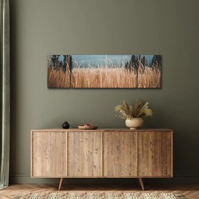 Obraz - szczegół łąki (170x50 cm)