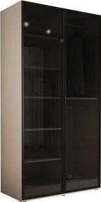 Szafa: Piaskowy beż / Szkło antysłoneczne, 100 x 200 x 51 cm