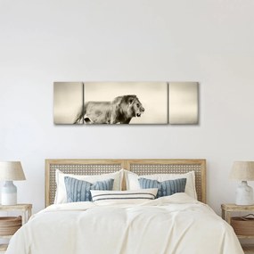 Obraz - Głodny lew (170x50 cm)
